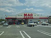 【スーパー】マグフーズ井内店まで506ｍ