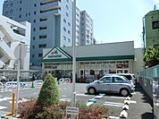 【スーパー】ダイエー成増店まで1009ｍ
