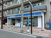 【コンビニエンスストア】ローソン成増北口通り店まで301ｍ