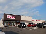コスモス　河和田店まで700ｍ
