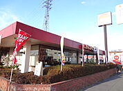 【その他】ガスト上尾柏座店まで681ｍ