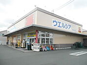 【ドラッグストア】ウエルシア浜松浜北店まで1094ｍ