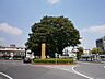 周辺：【駅】南浦和駅西口まで1000ｍ