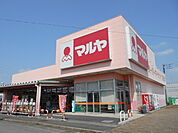 【スーパー】マルヤ姫宮店まで902ｍ