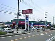 【スーパー】カスミ春日部藤塚店まで594ｍ