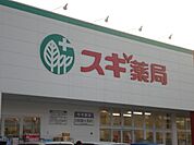 【ドラッグストア】スギ薬局堀の内店まで905ｍ