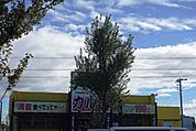 【その他】大阪カルビ浜松インター店まで762ｍ