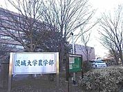 【大学】茨城大学農学部まで700ｍ