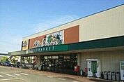 【スーパー】コープミオクチーナ新沢田店まで750ｍ