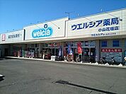 【ドラッグストア】ウエルシア小山花垣店まで1100ｍ