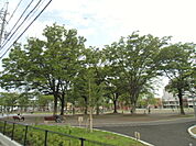 【公園】森下公園まで960ｍ