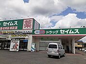 【ドラッグストア】ドラッグストアセキ 武蔵高萩店まで750ｍ