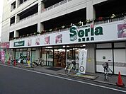 セリアまで700ｍ