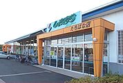 【スーパー】しまむらストアーたちばな店まで500ｍ