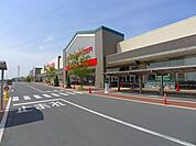 【スーパー】パワーモールおおたまで2200ｍ