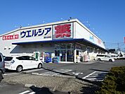 【ドラッグストア】ウエルシア　小柳津店まで350ｍ