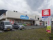 【ドラッグストア】ウエルシア清水八木間店まで230ｍ