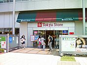 【スーパー】東急ストア向ヶ丘遊園店まで700ｍ