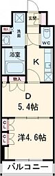 武蔵小金井駅 10.1万円