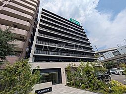 スプランディッドVIII