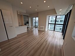 ドレッセタワー武蔵小杉 507