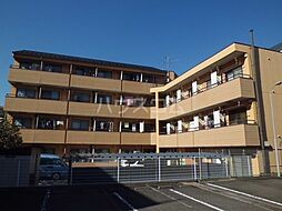 シルキー吉美Ｂ