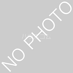 ｂｅｌｌａ ｆｏｒｅｓｔａ 102