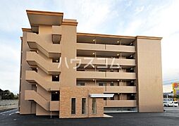 ラフィーネコート 505