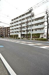 Ｃｏｕｒｔ　Ｂｌａｎｃｈｅ 501