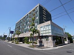 Ｔｉｆｆａｎｙ 502