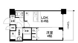 Osaka Metro千日前線 桜川駅 徒歩7分の賃貸マンション 14階1LDKの間取り