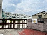 【小学校】名古屋市立藤が丘小学校まで214ｍ