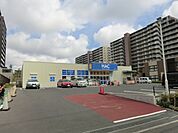 【ドラッグストア】ハックドラッグ湘南ライフタウン店まで1042ｍ