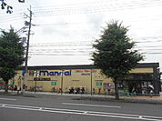 【スーパー】万代 嵯峨広沢店まで320ｍ