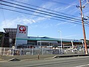 【ホームセンター】コメリハード&グリーン 園部店まで1041ｍ