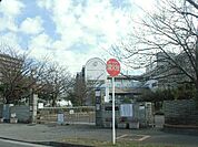 【小学校】横須賀市立長浦小学校まで539ｍ