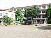 【小学校】三島市立西小学校まで904ｍ