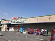 【スーパー】フードマーケットマム生鮮市場　鎌田店まで870ｍ