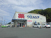 【ドラッグストア】ウエルシア静岡松富店まで1623ｍ