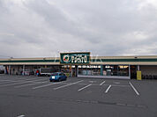 【スーパー】FOOD MARKET POTATO野中店まで1807ｍ