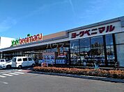 【スーパー】ヨークベニマル土浦生田町店まで1572ｍ
