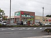【スーパー】生鮮＆業務スーパー加須ビバモール店まで926ｍ