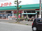 【スーパー】ヨークマート鴨宮店まで338ｍ