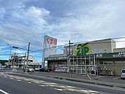 【ドラッグストア】Zipドラッグ白沢 矢形店まで288ｍ