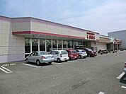 【ショッピングセンター】ファッションセンターしまむら春日井店まで699ｍ