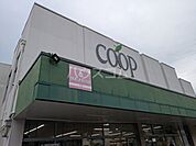 【スーパー】生活協同組合ユーコープ 杉田店まで858ｍ