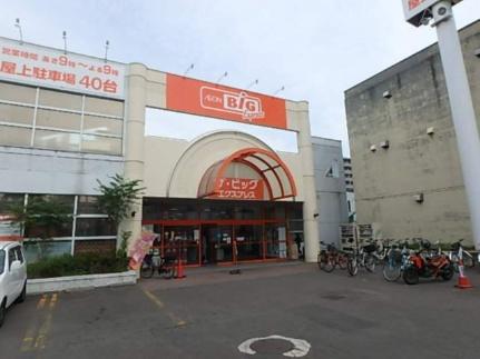 画像3:マックスバリュ北海道（株）／ザ・ビッグエクスプレス白石中央店(スーパー)まで430m