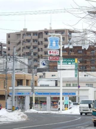 アーベインハウス中の島 403｜北海道札幌市豊平区中の島一条２丁目(賃貸マンション1LDK・4階・53.25㎡)の写真 その8