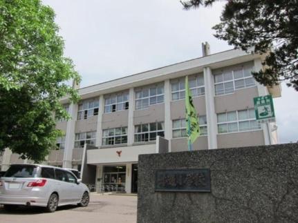 画像17:函館市立本通小学校(小学校)まで377m