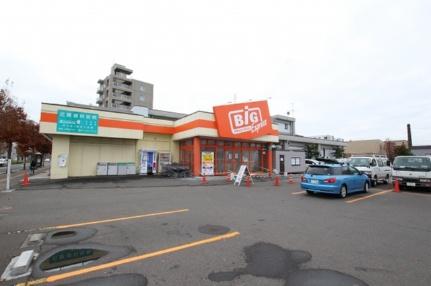 画像18:ザ・ビッグエクスプレス平岸店(スーパー)まで600m